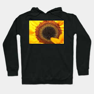 Burst of Sunshine Hoodie